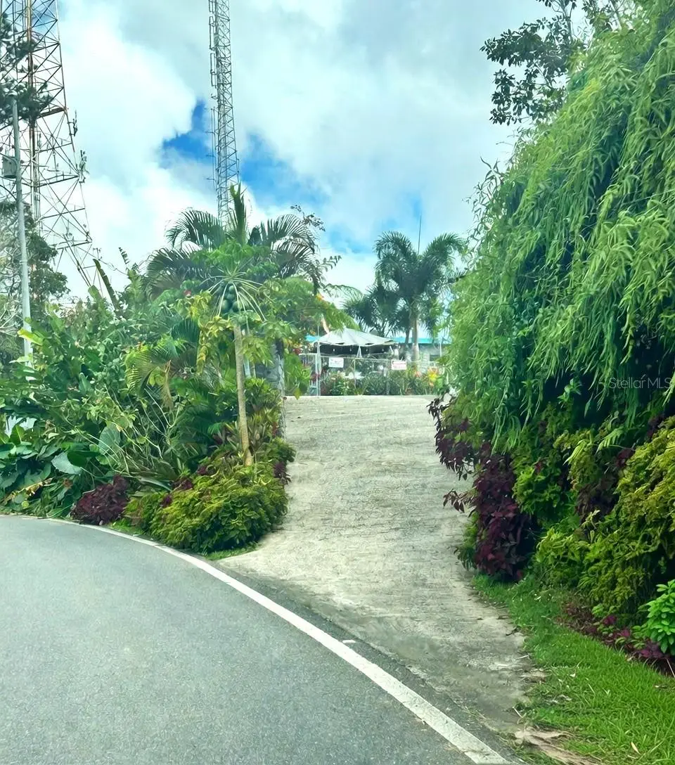 795 Bairoa, Aguas Buenas, PR 00703 - #1