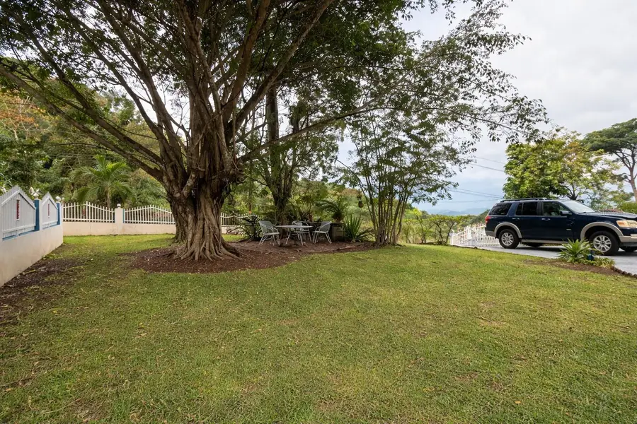 KM 2.4 Camino Algarrobo Buena Vista Ward, Bayamon, PR 00956 - #3