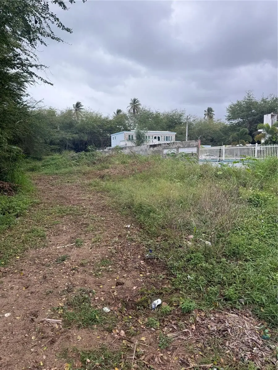 Calle Santillana, Loiza, PR 00772 - #3