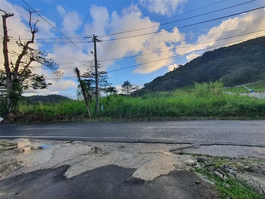 Carr 191, Naguabo, PR 00718 - #2