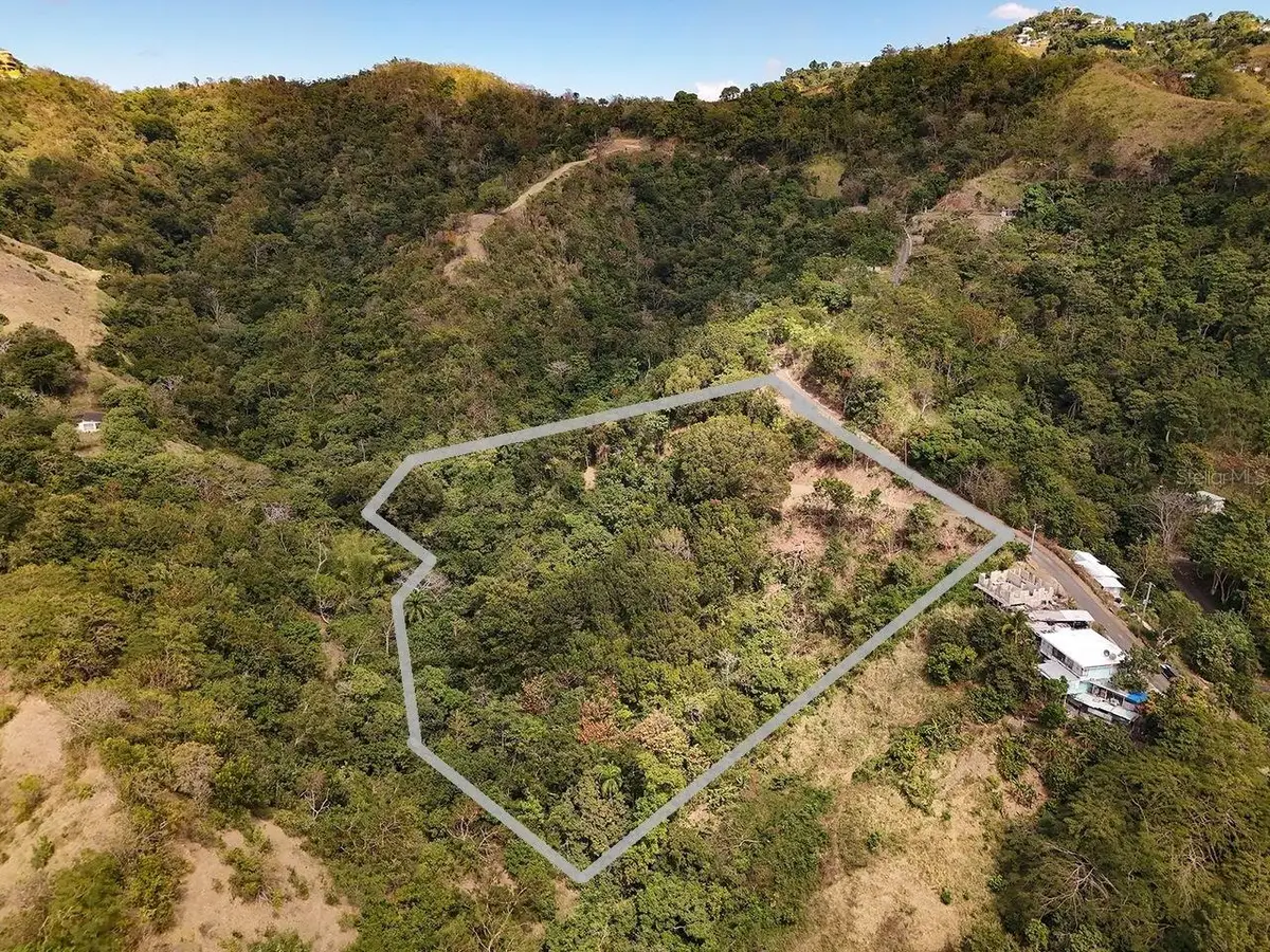 Carr.115 Km. 4.5 Interior, Anasco, PR 00610 - #1