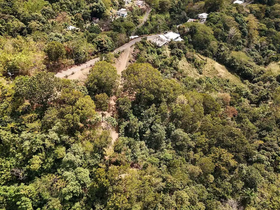 Carr.115 Km. 4.5 Interior, Anasco, PR 00610 - #3