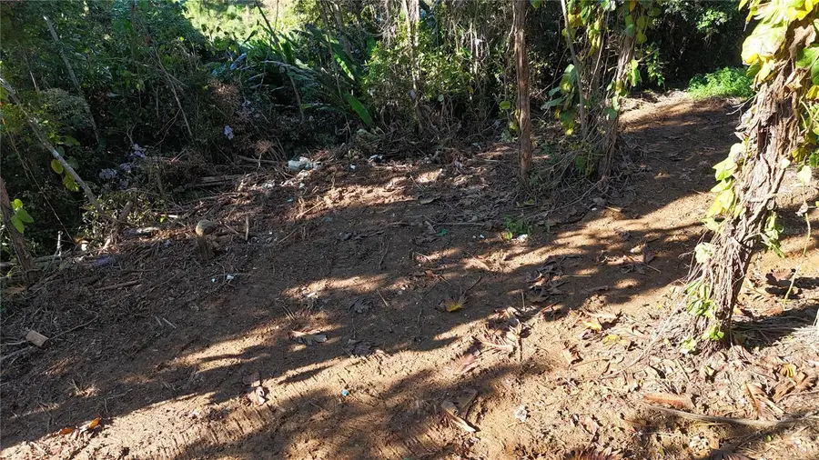 186 Camino Los Reyes, Canovanas, PR 00729 - #2