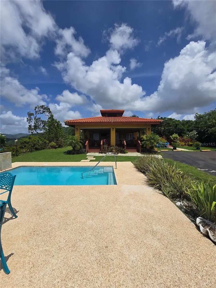 Bo Pulguillas, Carr. 723, Coamo, PR 00769 - #2