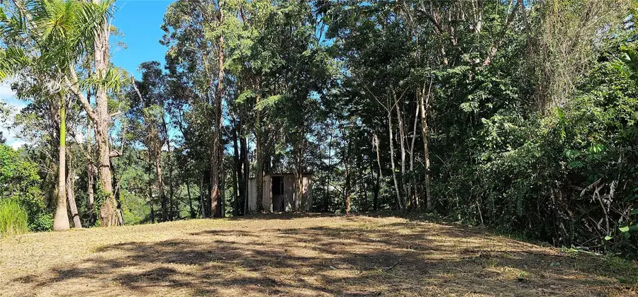 Bo. Las Vegas, Calle Quinto Patio, Cayey, PR 00736 - #3