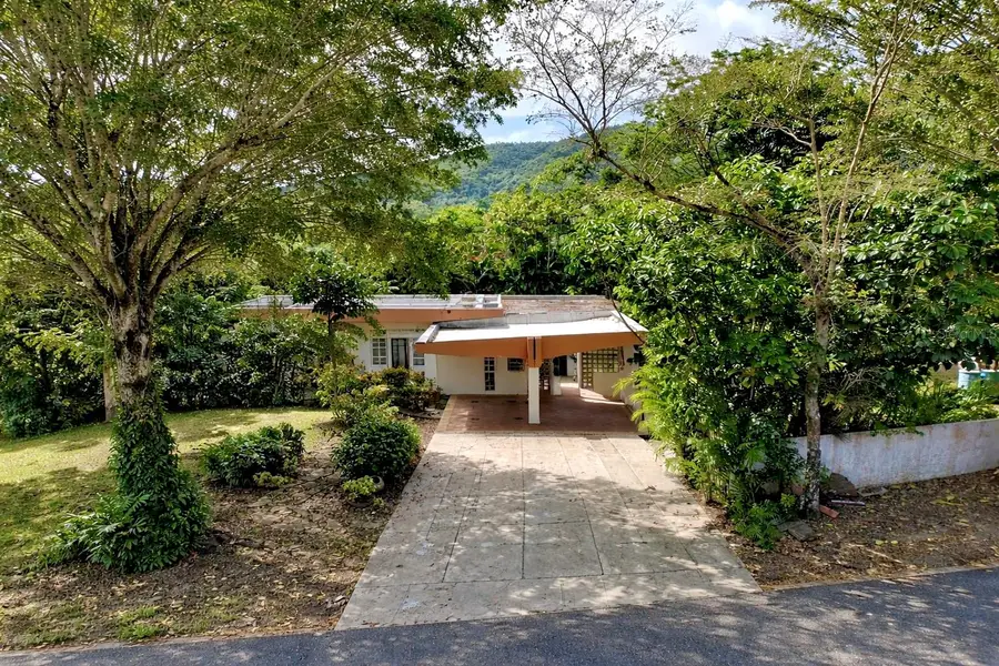 2 Valley View Drive, Caguas, PR 00725 - #3