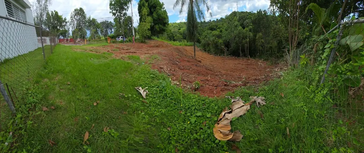 Address Withheld By Seller, Mayaguez, PR 00680 - #1