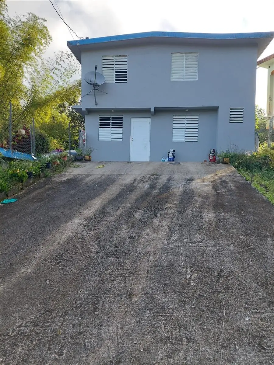 Carr. 181 km 13.9 Barrio Espino, San Lorenzo, PR 00754 - #1
