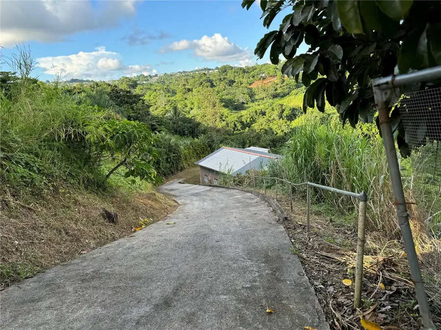 PR-172 Sector La Sierra, Cidra, PR 00739 - #2
