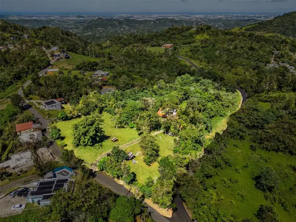 Carretera 792 Km 3.5 Sector La Escuelita, AGUAS BUENAS, PR 00703