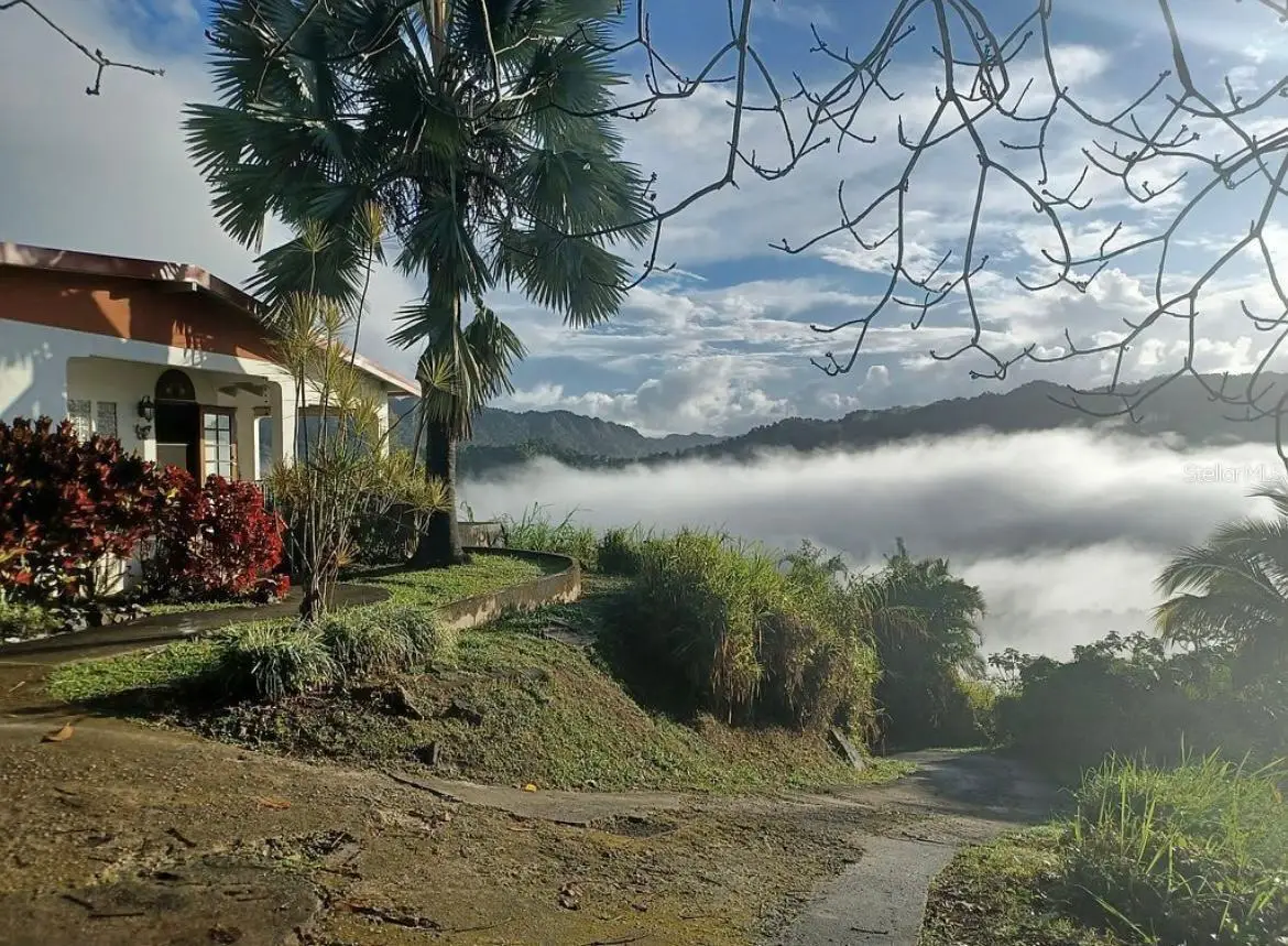 612 St. Bo. Don Alonso Sector Bujosa #1, Utuado, PR 00641 - #1