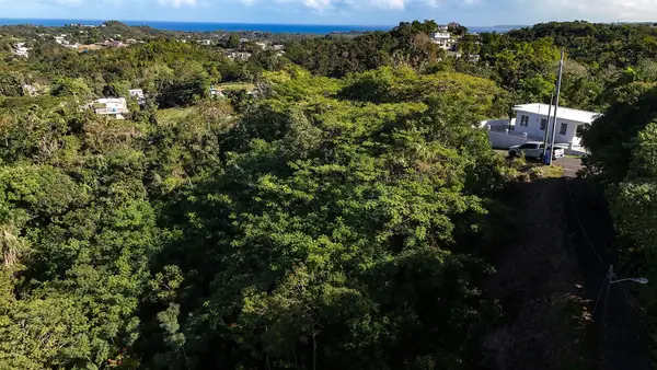 BO. CRUCES Carr 414 Km. Hm. 0.5, RINCON, PR 00677