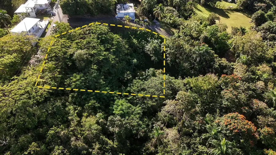 BO. CRUCES Carr 414 Km. Hm. 0.5, Rincon, PR 00677 - #2