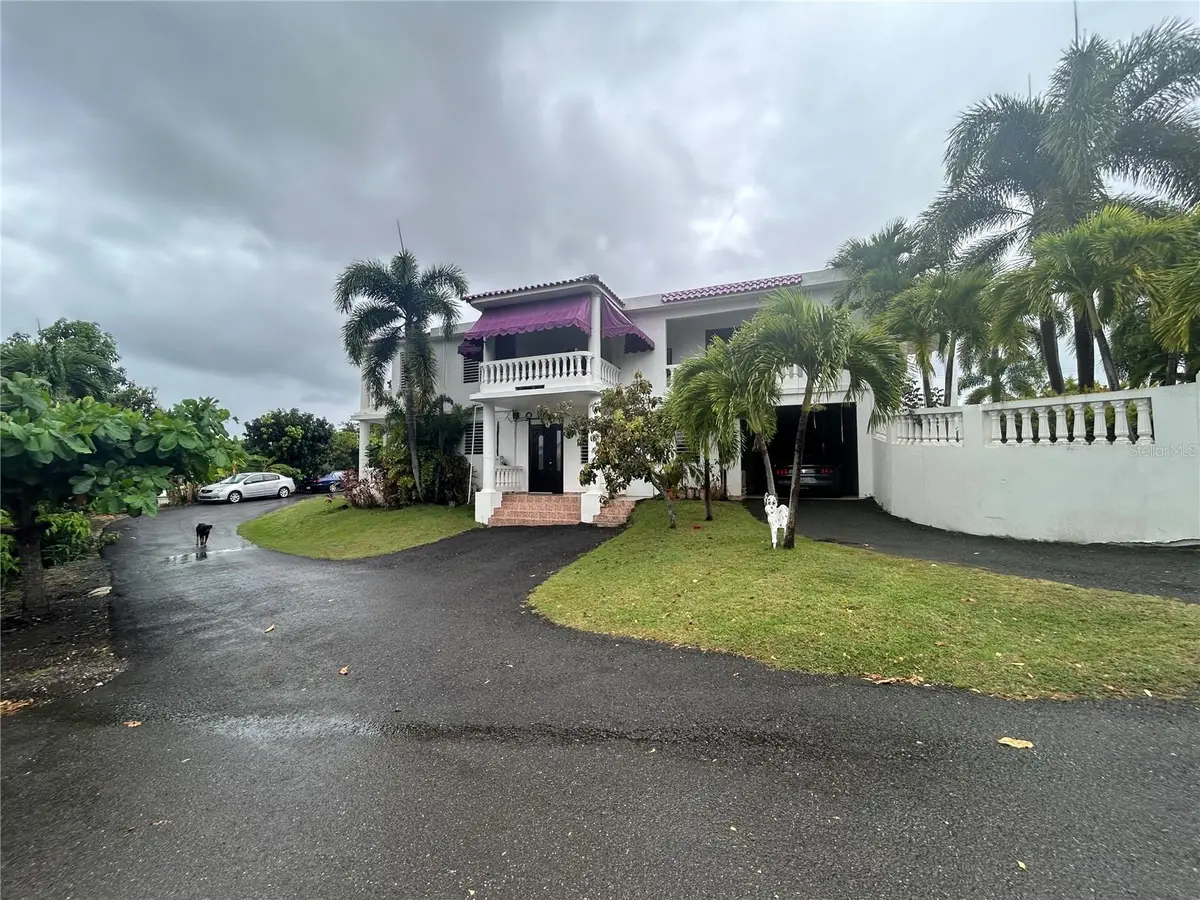 545 Sector Toro, Coamo, PR 00769 - #1