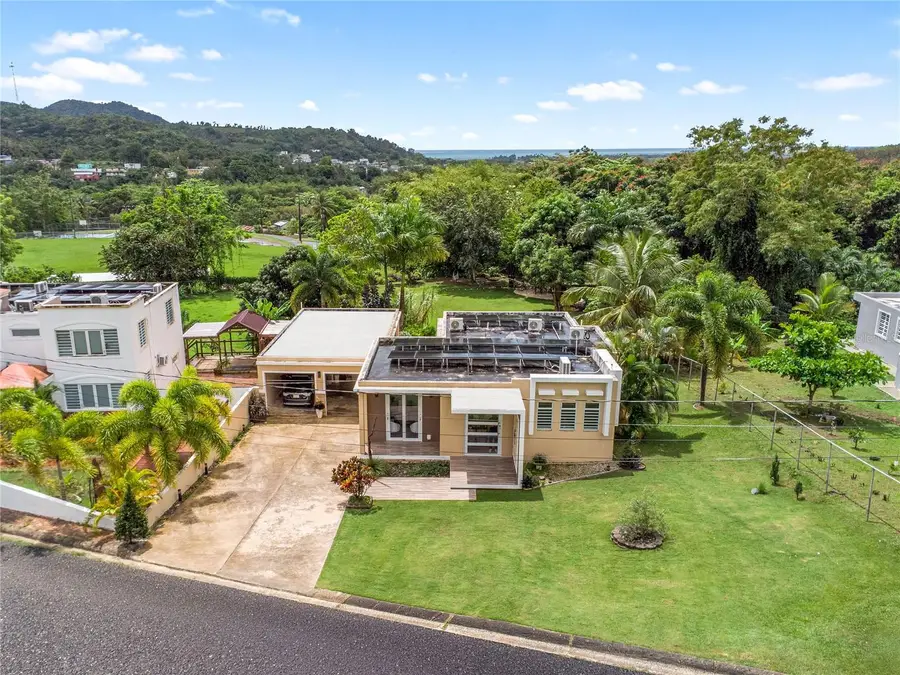 PR 757 KM 1.7 INT LOT 4 La Ceiba Pollos Ward, Patillas, PR 00723 - #3