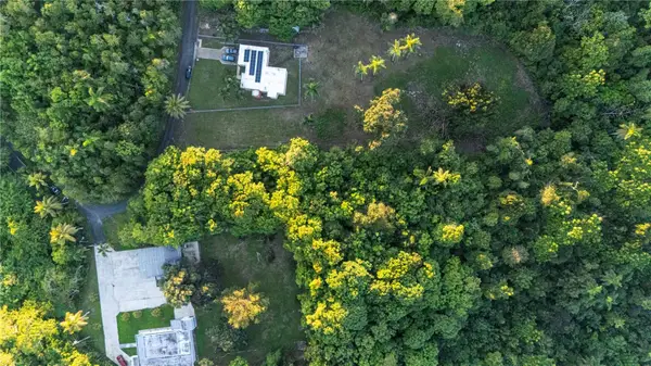 Barrio Candelaria, VEGA ALTA, PR 00692