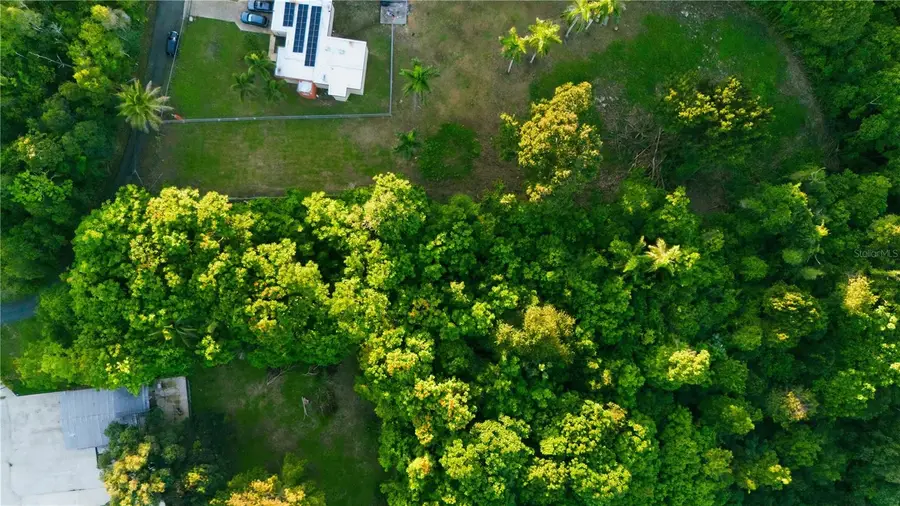 Barrio Candelaria, Vega Alta, PR 00692 - #3