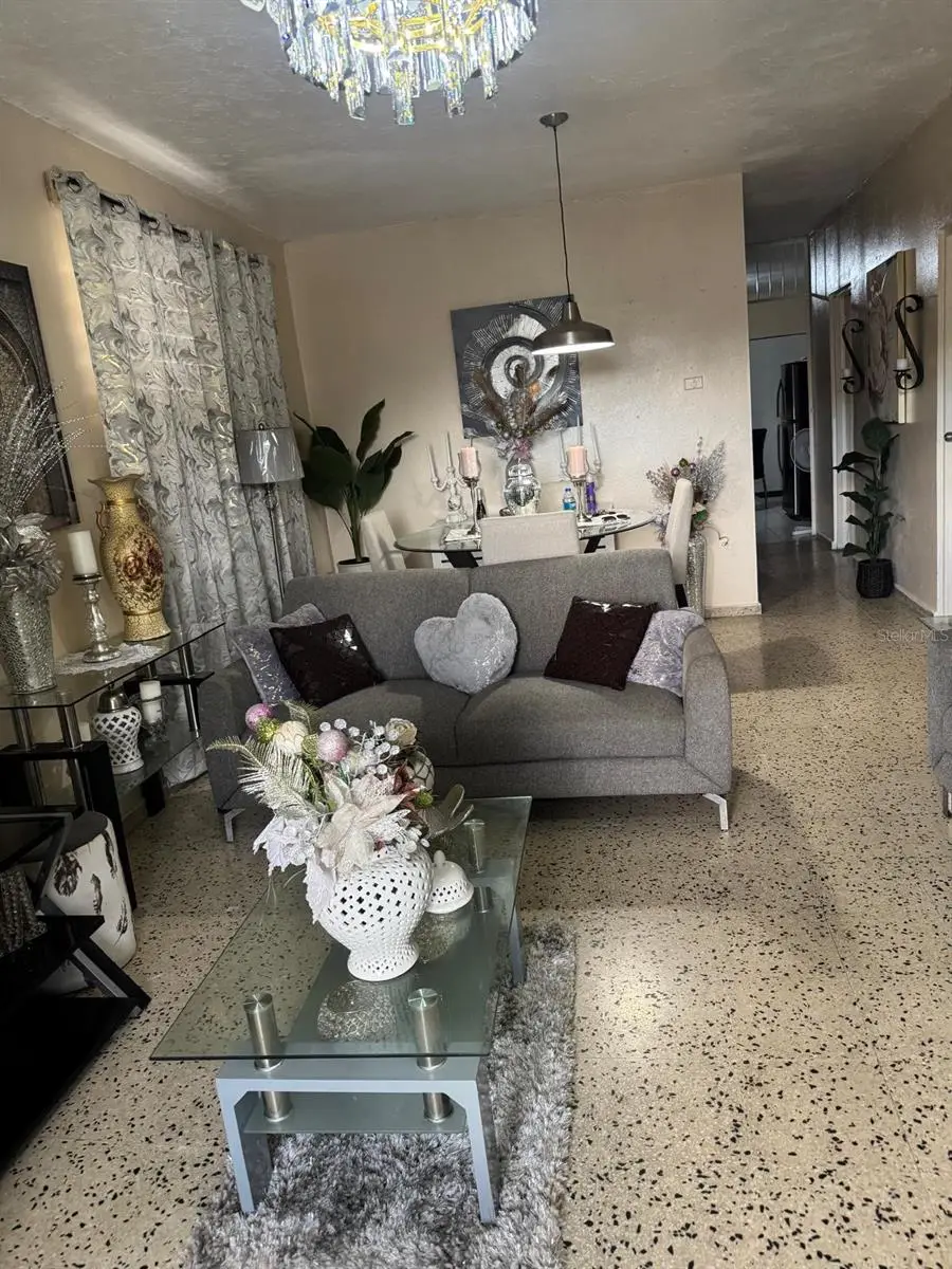 49 Vicente Pales, Guayama, PR 00784 - #2