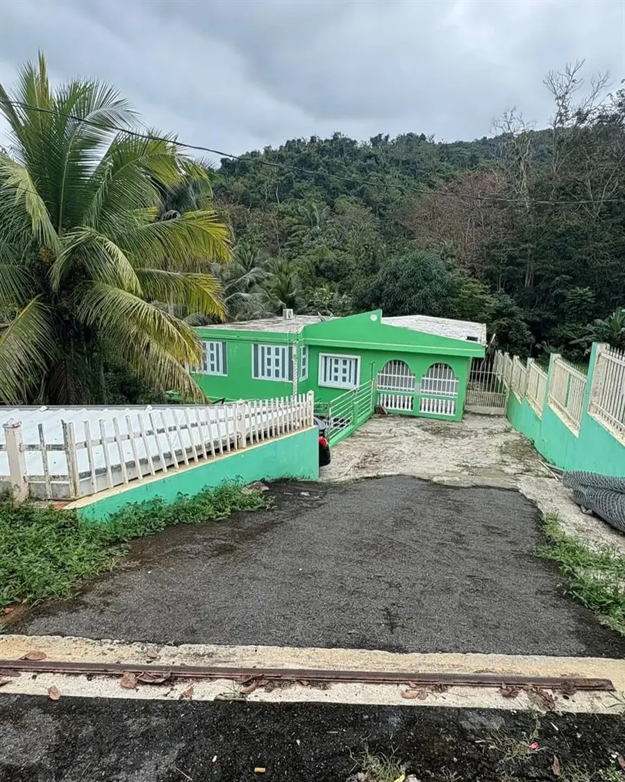 LA BARRA 105 F, Caguas, PR 00725 - #2