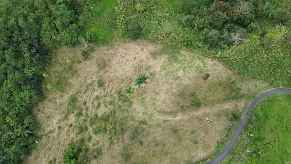 Carr 734 Km.hm 2.8. Bo. Arenas, CIDRA, PR 00739