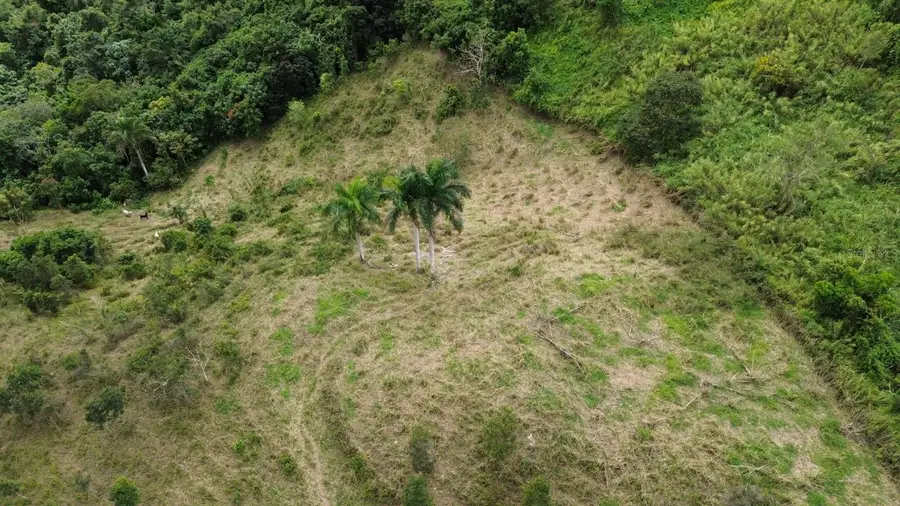 Carr 734 Km.hm 2.8. Bo. Arenas, Cidra, PR 00739 - #2