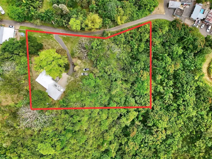 Carr. 494 KM 1 Bo. Arenales Altos Sect. Tocones, Isabela, PR 00662 - #2