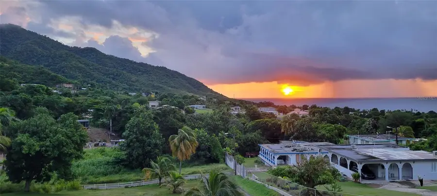 Carr 3 Camino Cooperativo, Patillas, PR 00723 - #2