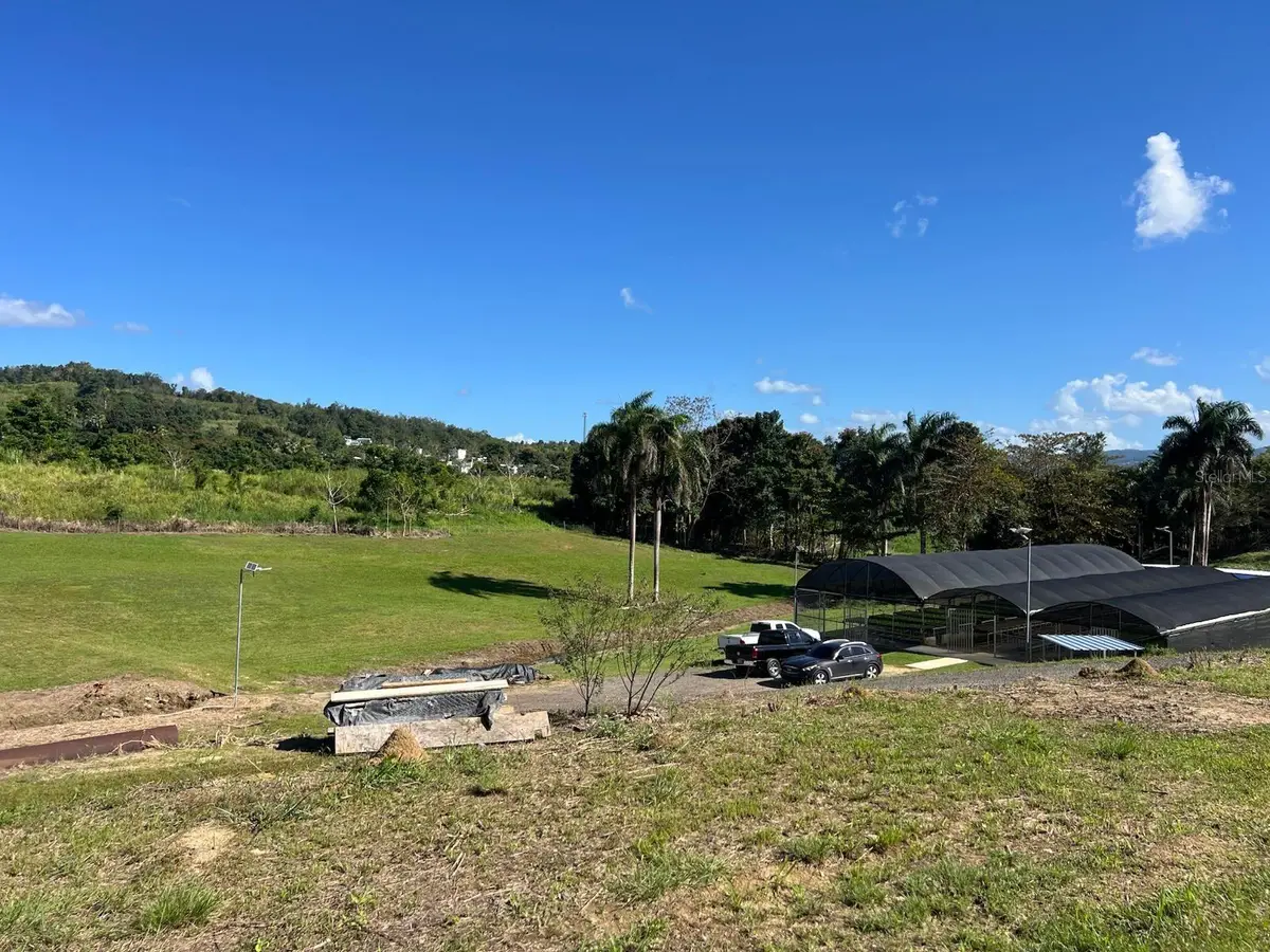 Pugnado Adentro, Morovis, PR 00687 - #1