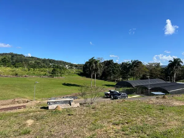 Pugnado Adentro, MOROVIS, PR 00687