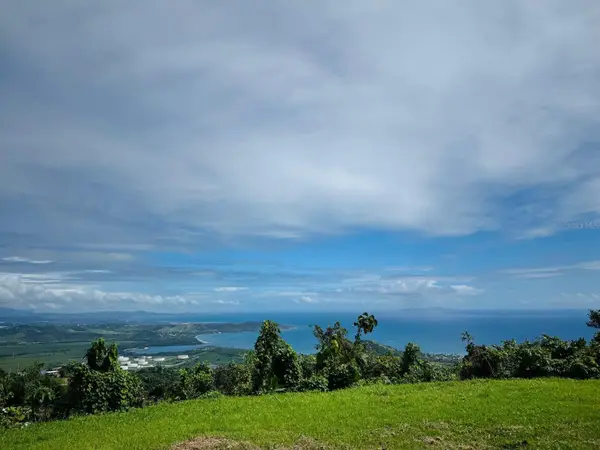 Barrio Camino Nuevo Sector La Maloja Arriba, YABUCOA, PR 00767