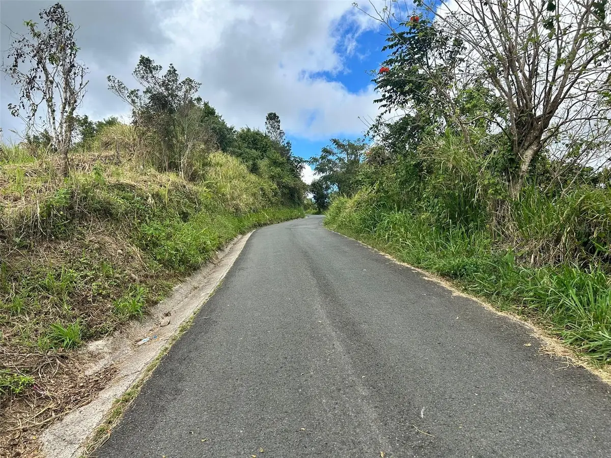 Carr. 723,2.3 Int., Aibonito, PR 00705 - #1