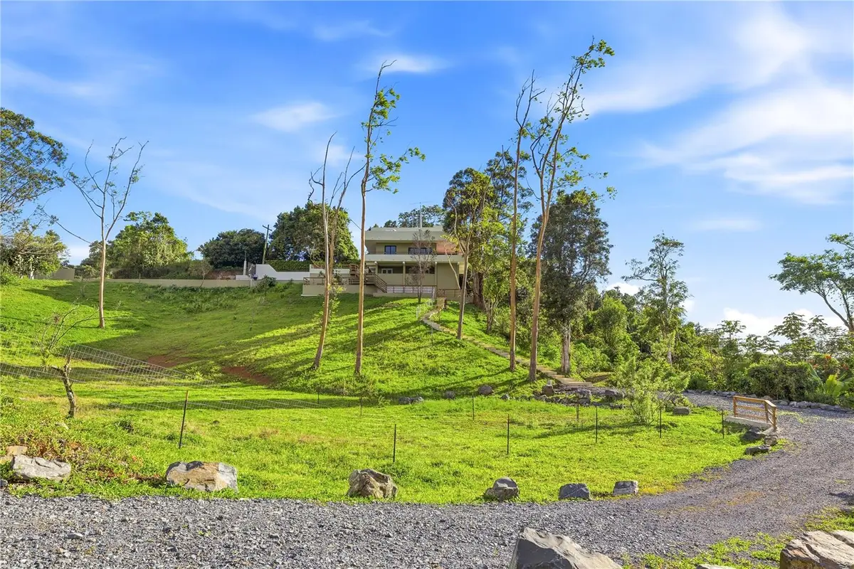 RD15 KM20.6 Bo. Quebrada Arriba, Cayey, PR 00736 - #1