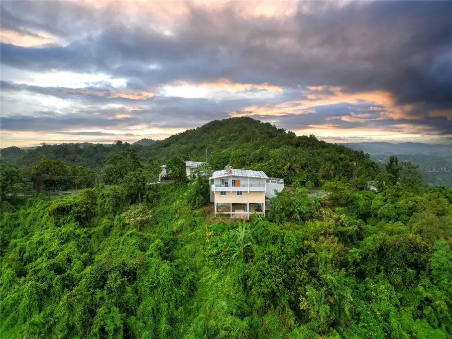 Parcela 1 Bo. Malezas, Mayaguez, PR 00680 - #2