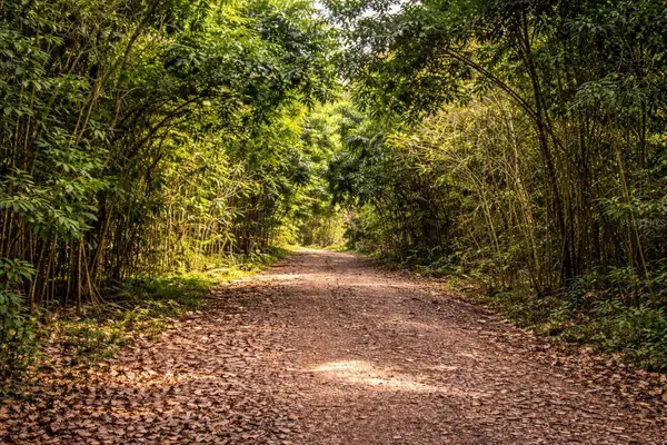 Solar 36 Bo Fronton, CIALES, PR 00638