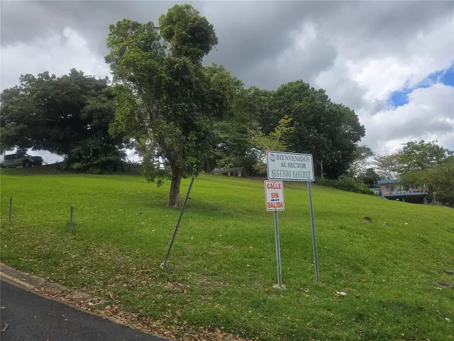 167R Sector Segundo Snchez, Bayamon, PR 00956 - #3