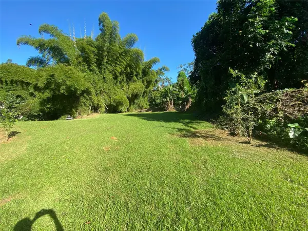 Carr. 108, Camino Adelina Bo. Ro Caas, MAYAGUEZ, PR 00680