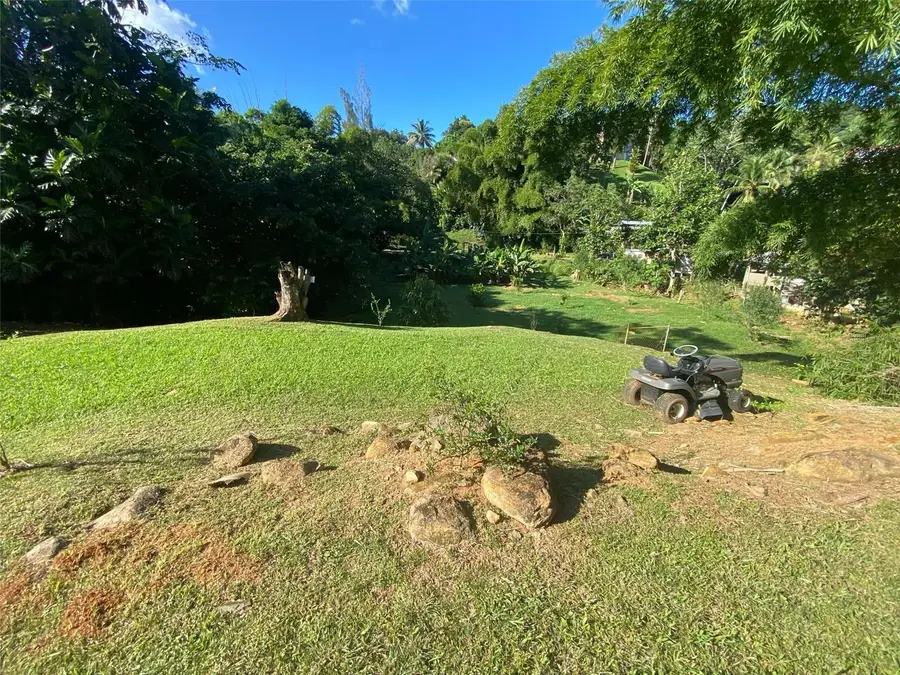 Carr. 108, Camino Adelina Bo. Ro Caas, Mayaguez, PR 00680 - #2