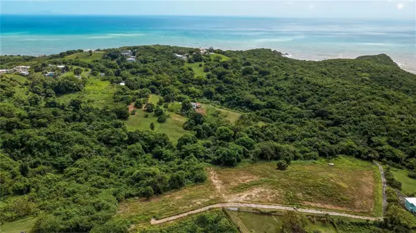 Lots 8, 11, 11A, 11B, 11C Camino Nuevo, YABUCOA, PR 00767