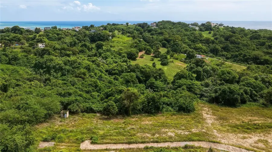 Lots 8, 11, 11A, 11B, 11C Camino Nuevo, Yabucoa, PR 00767 - #2