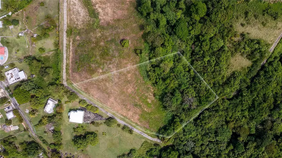 Lots 8, 11, 11A, 11B, 11C Camino Nuevo, Yabucoa, PR 00767 - #3