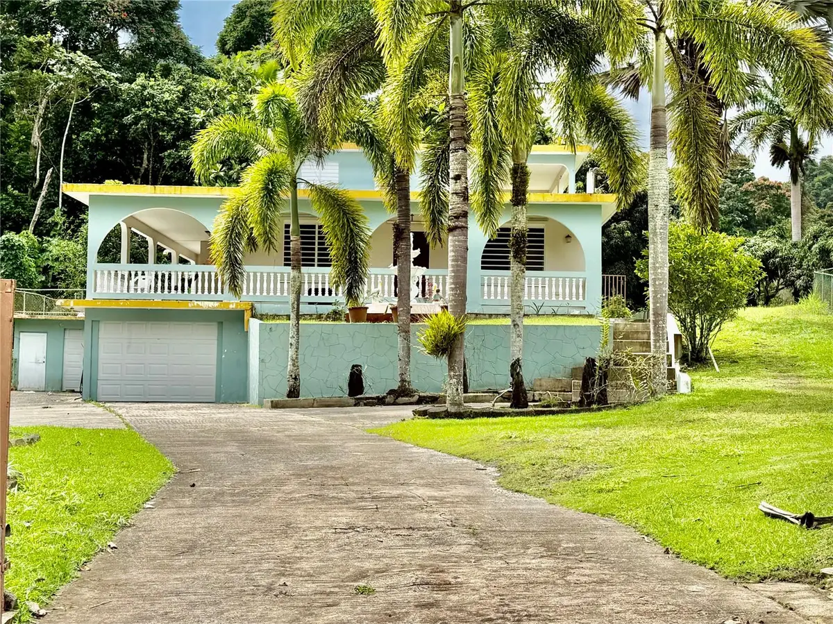 Road181 Km10.3 Queb.Honda Road 181 Km 10.3 Quebrada Honda, San Lorenzo, PR 00754 - #1