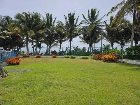 Las Picuas Beach Bo. Zorzal Orchard #6, Rio Grande, PR 00745 - #3