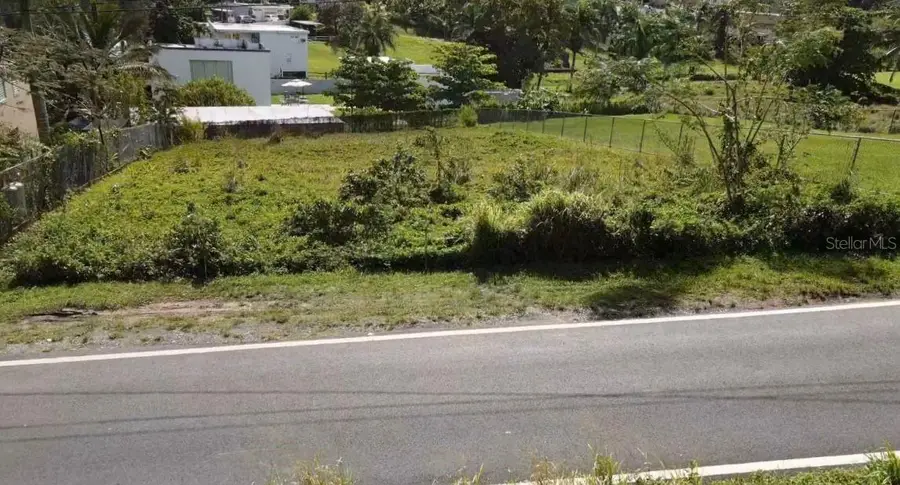 PR-9929 Barrio Lirios #2, Juncos, PR 00777 - #3