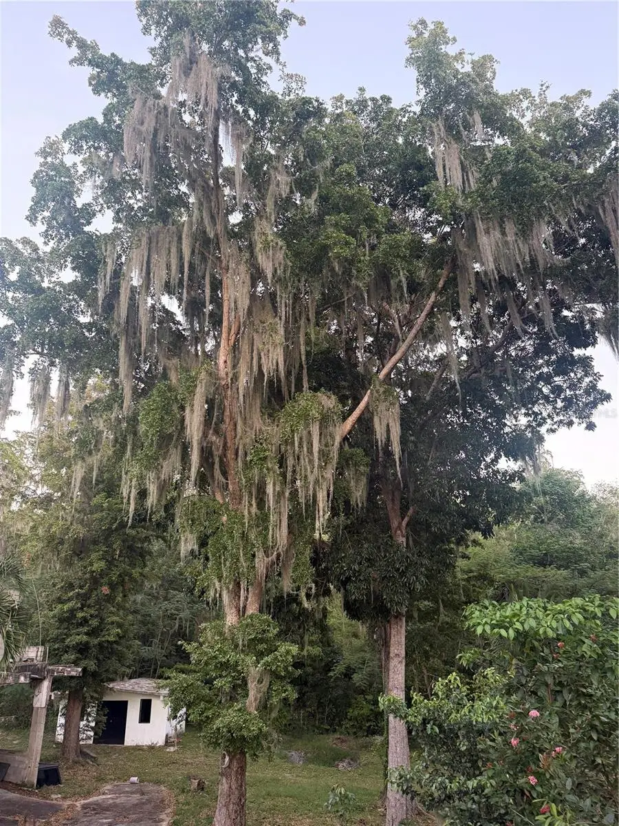 Ranchos Guayama, Guayama, PR 00784 - #3