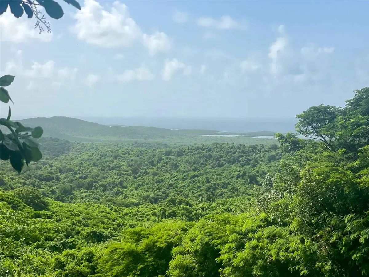 309 Calle Papo Foster, Vieques, PR 00765 - #1