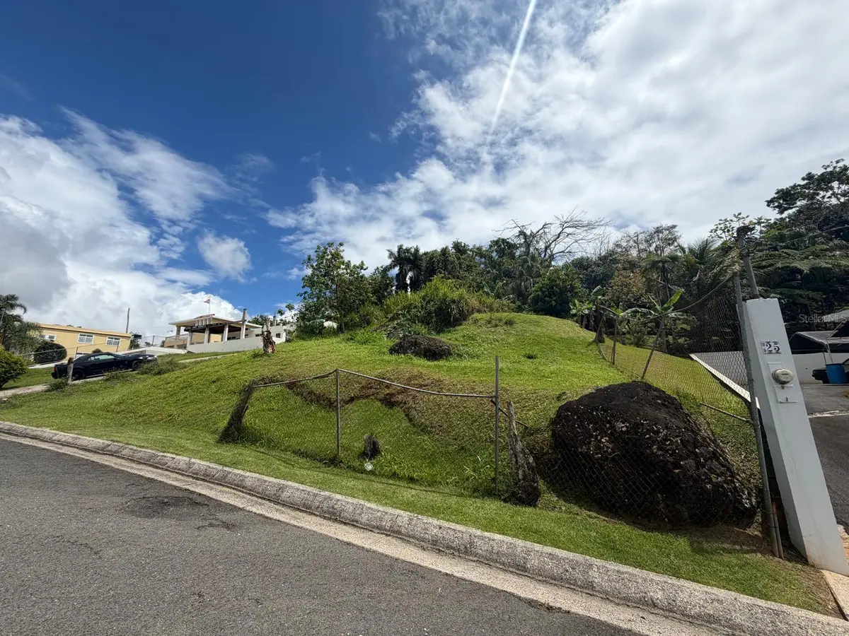 4.4 Carr 787, Cidra, PR 00739 - #1