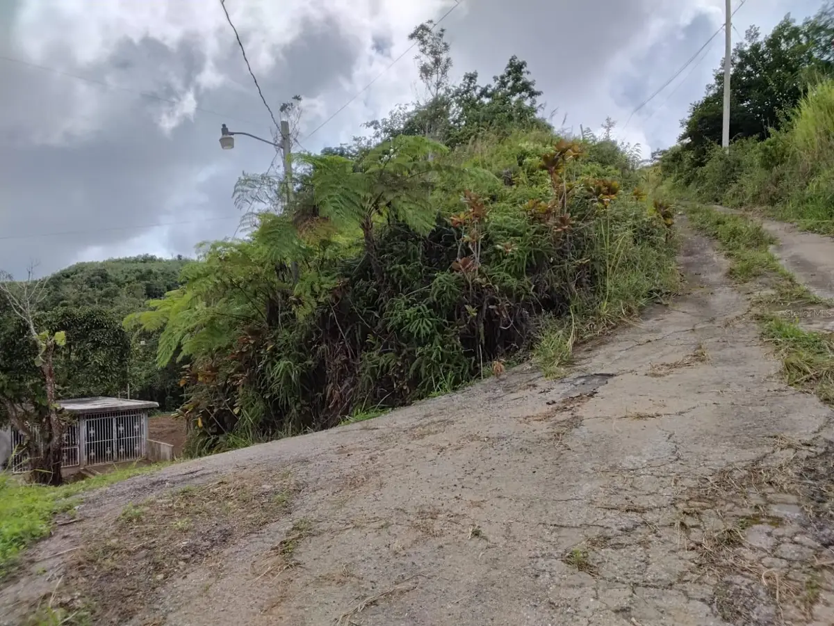 Bo. Indiera Baja, Maricao, PR 00606 - #1