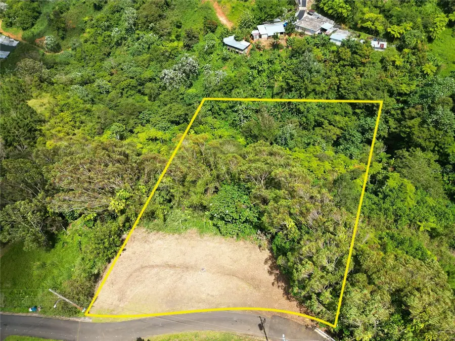 St. 809 Cedro Arriba Sector Santa Teresita Ii #2, Naranjito, PR 00719 - #2