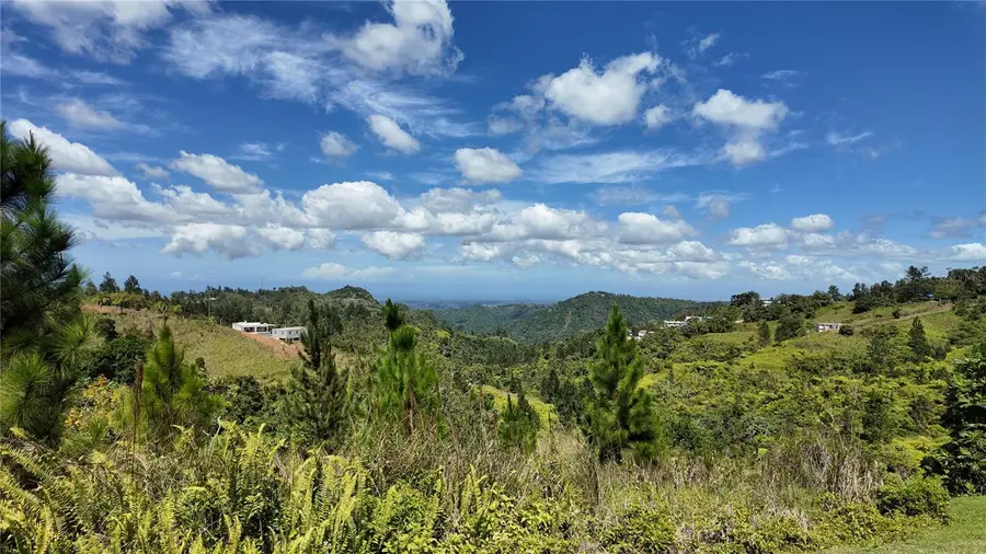 Carr 155 Km 33.1 Int Bo. Gato, Orocovis, PR 00720 - #2