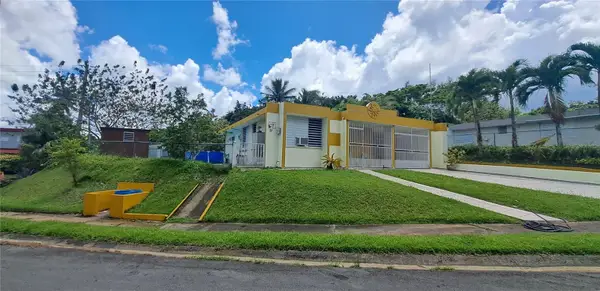 17 Georgina (b), TOA ALTA, PR 00953